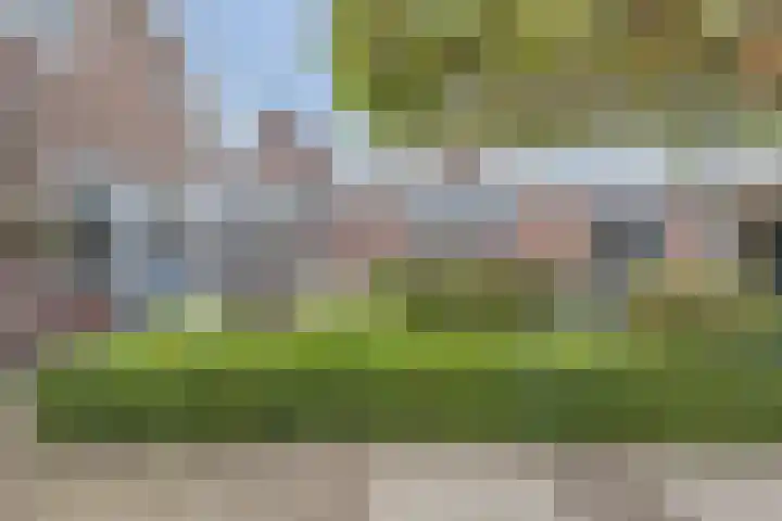 Groenendijk 8 Lage Zwaluwe thumbnail 39