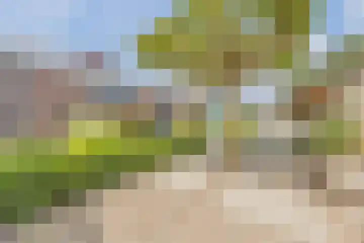 Groenendijk 8 Lage Zwaluwe thumbnail 42