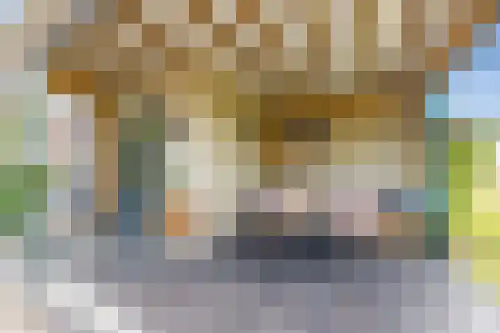 Groenendijk 8 Lage Zwaluwe thumbnail 43