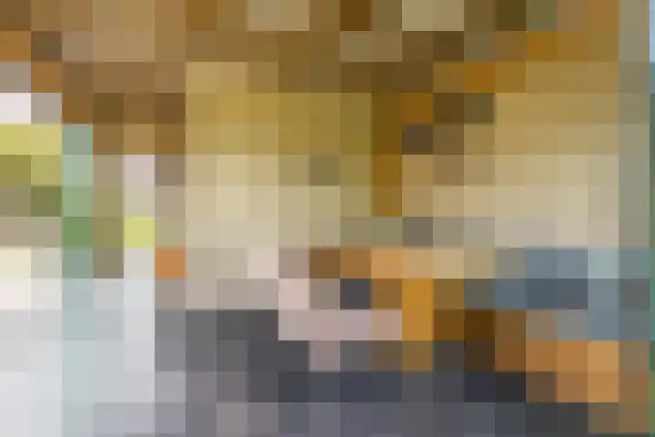 Groenendijk 8 Lage Zwaluwe thumbnail 44