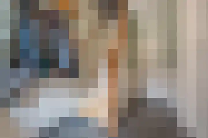 Groenendijk 8 Lage Zwaluwe thumbnail 7