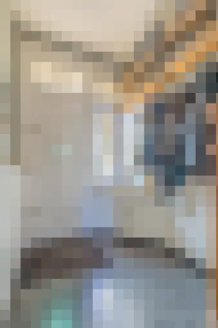 Groenendijk 8 Lage Zwaluwe thumbnail 9