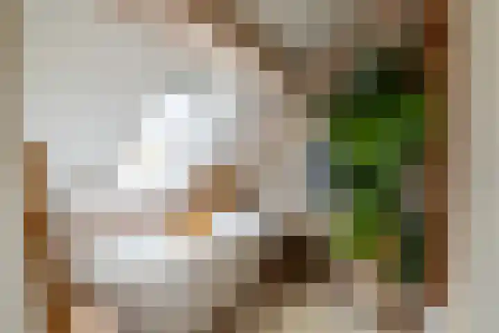 Groenendijk 8 Woudrichem thumbnail 35