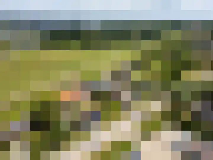 Groenendijk 8 Woudrichem thumbnail 4