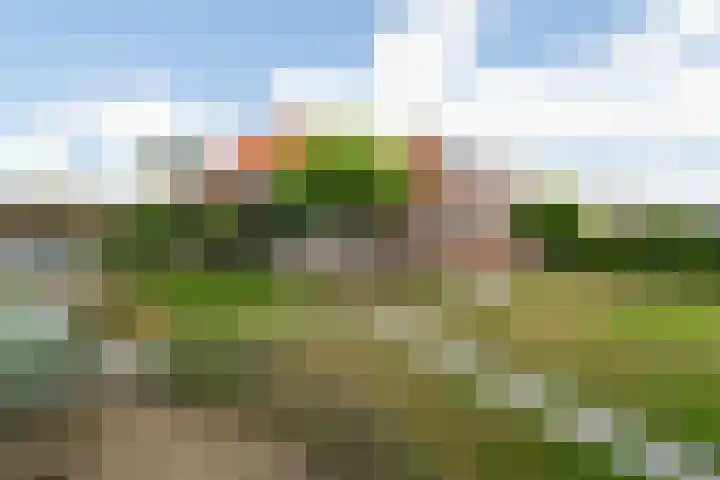 Groenendijk 8 Woudrichem thumbnail 46