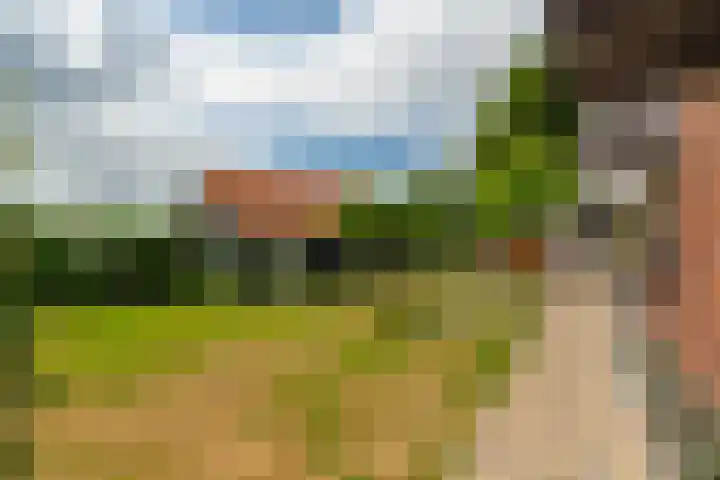 Groenendijk 8 Woudrichem thumbnail 48
