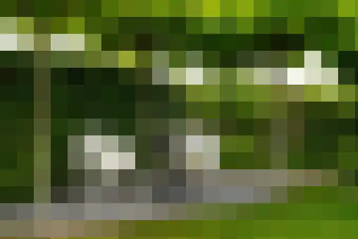 Groenendijk 8 Woudrichem thumbnail 50