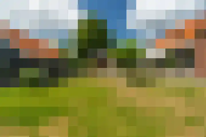 Groenendijk 8 Woudrichem thumbnail 51