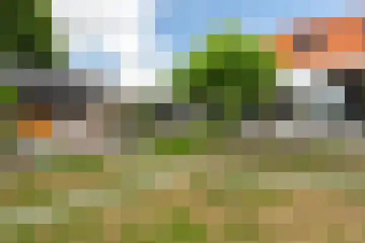 Groenendijk 8 Woudrichem thumbnail 52