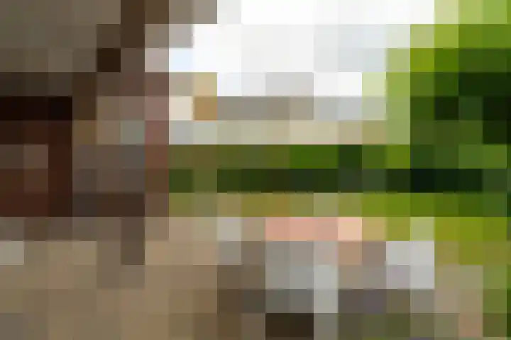 Groenendijk 8 Woudrichem thumbnail 53