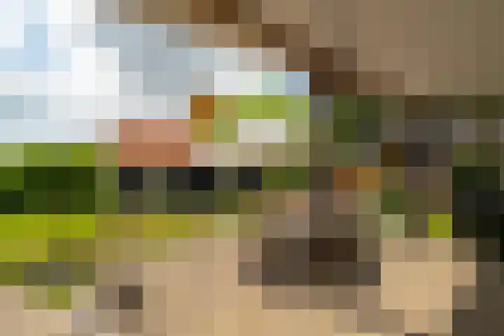 Groenendijk 8 Woudrichem thumbnail 54