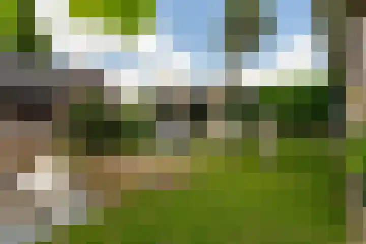 Groenendijk 8 Woudrichem thumbnail 56