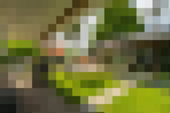Groenendijk 8 Woudrichem thumbnail 57