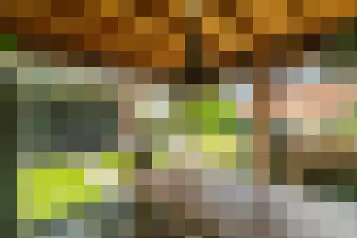 Groenendijk 8 Woudrichem thumbnail 59