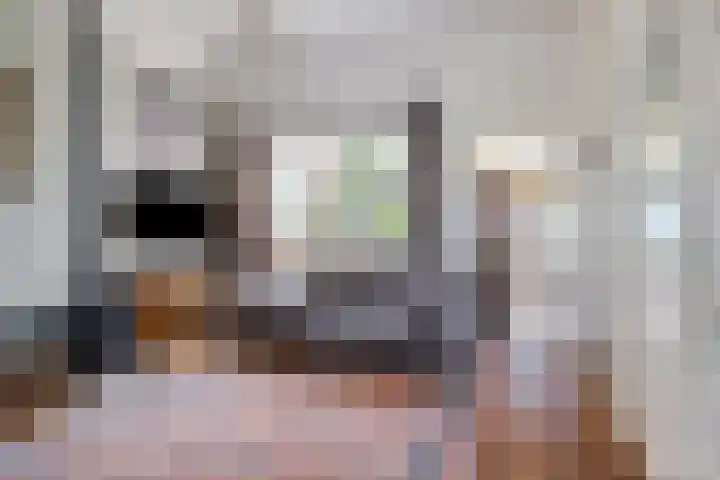 Groenendijk 80 Kloosterzande thumbnail 10