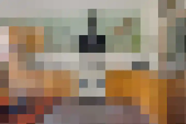 Groenendijk 80 Kloosterzande thumbnail 14
