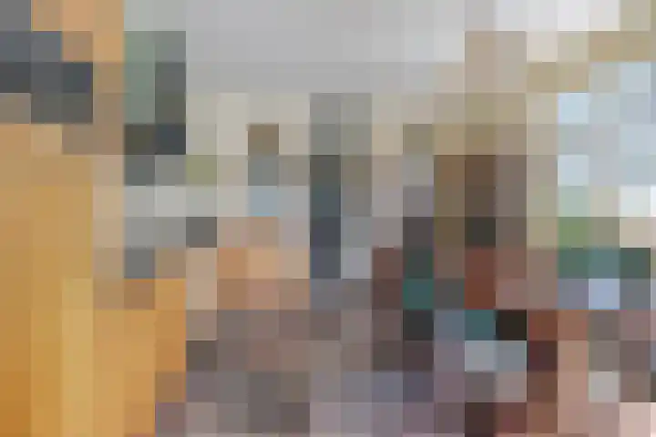 Groenendijk 80 Kloosterzande thumbnail 16