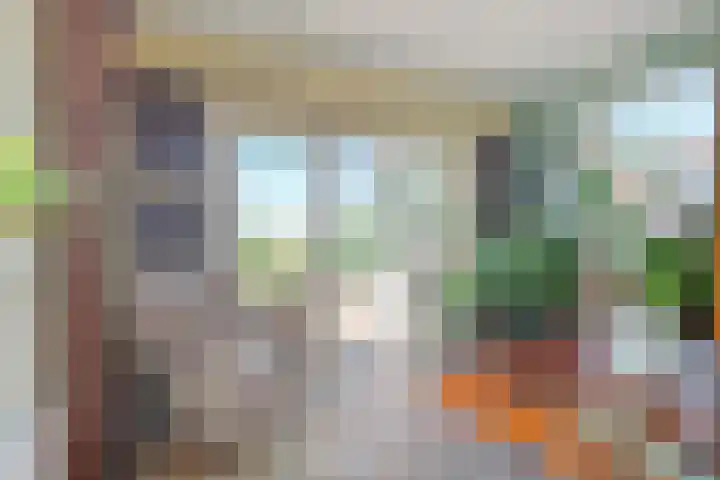 Groenendijk 80 Kloosterzande thumbnail 17