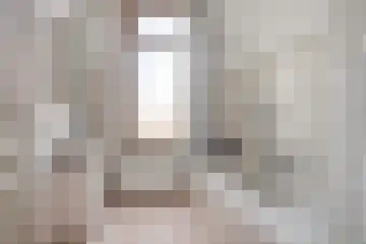 Groenendijk 80 Kloosterzande thumbnail 21