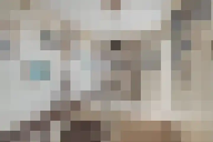 Groenendijk 80 Kloosterzande thumbnail 23