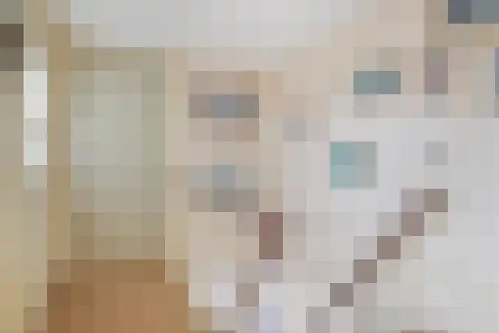 Groenendijk 80 Kloosterzande thumbnail 24
