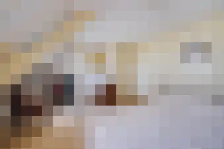 Groenendijk 80 Kloosterzande thumbnail 26
