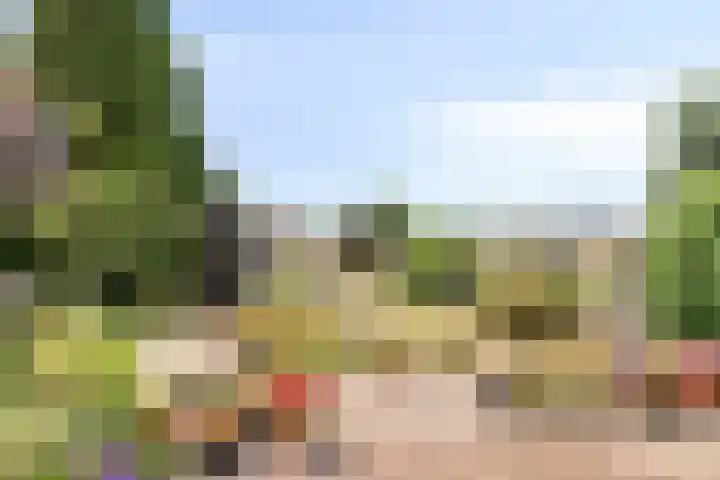 Groenendijk 80 Kloosterzande thumbnail 28