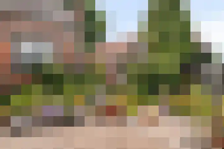 Groenendijk 80 Kloosterzande thumbnail 30