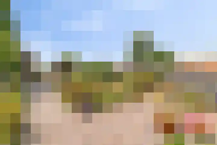 Groenendijk 80 Kloosterzande thumbnail 32