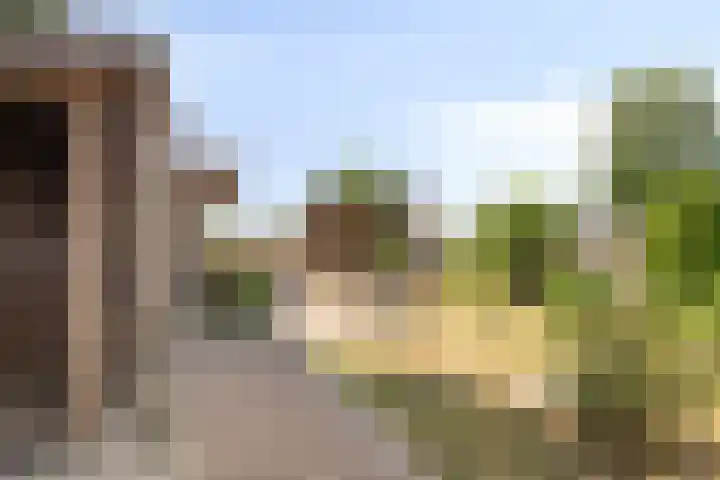 Groenendijk 80 Kloosterzande thumbnail 33