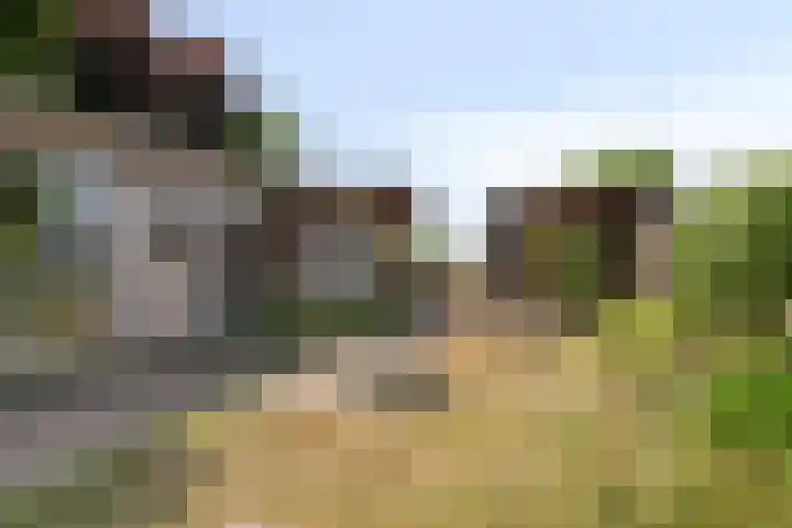 Groenendijk 80 Kloosterzande thumbnail 34
