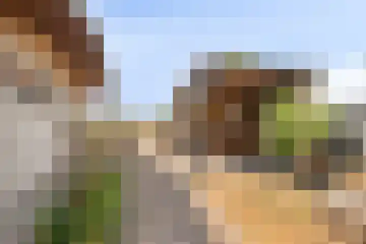 Groenendijk 80 Kloosterzande thumbnail 35