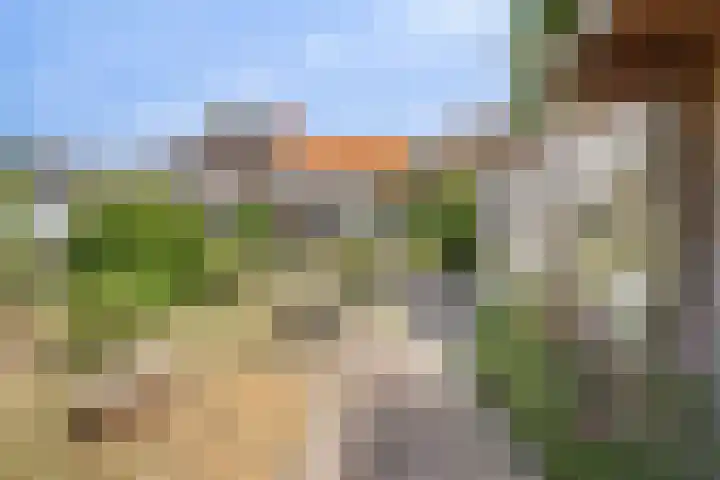 Groenendijk 80 Kloosterzande thumbnail 37