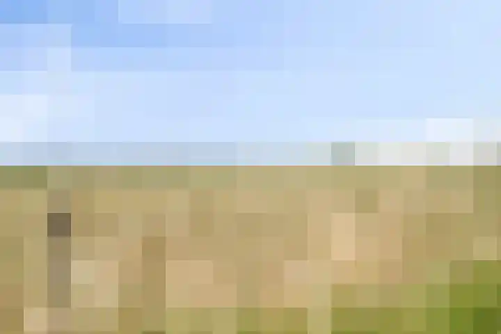Groenendijk 80 Kloosterzande thumbnail 38