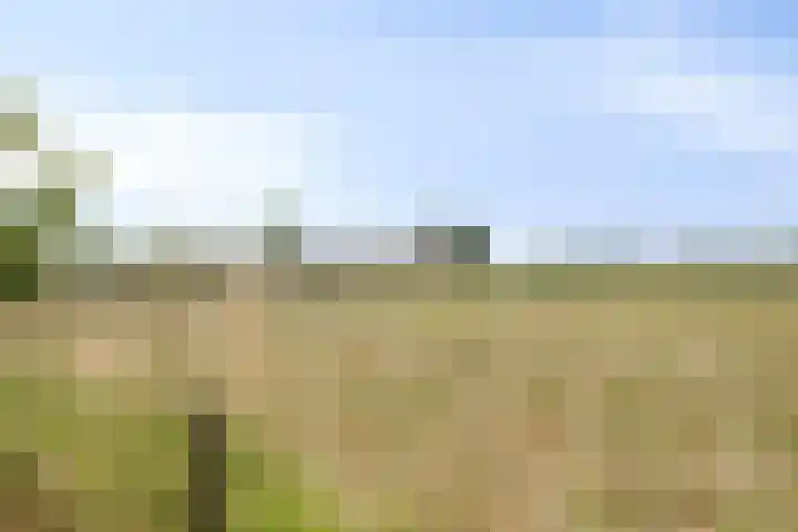 Groenendijk 80 Kloosterzande thumbnail 39