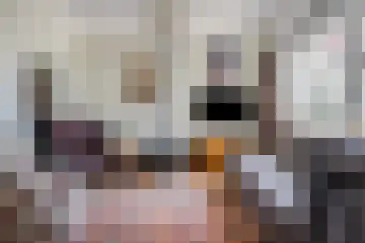Groenendijk 80 Kloosterzande thumbnail 4