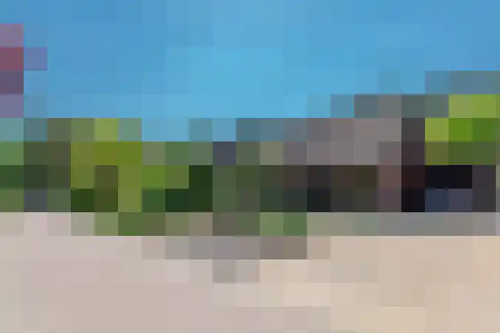 Groenendries 50 Huijbergen thumbnail 10