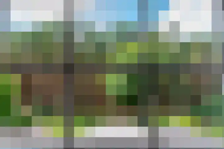 Groenendries 50 Huijbergen thumbnail 45