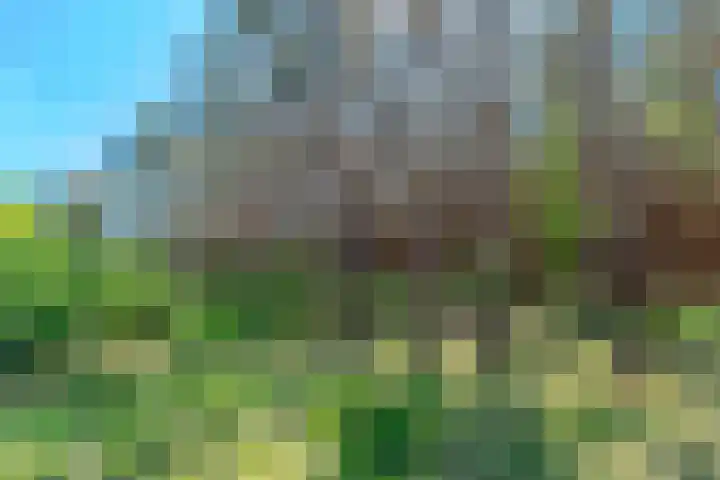 Groenendries 50 Huijbergen thumbnail 57