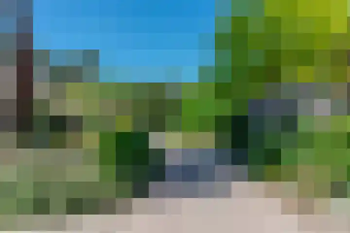 Groenendries 50 Huijbergen thumbnail 6
