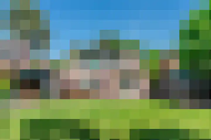 Groenendries 50 Huijbergen thumbnail 64