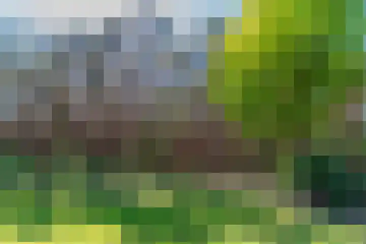 Groenendries 50 Huijbergen thumbnail 66
