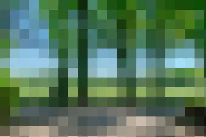 Groenendries 50 Huijbergen thumbnail 68