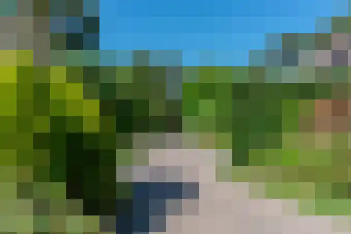 Groenendries 50 Huijbergen thumbnail 7
