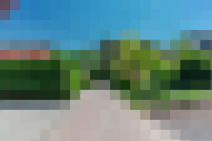 Groenendries 50 Huijbergen thumbnail 8