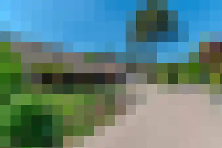 Groenendries 50 Huijbergen thumbnail 9