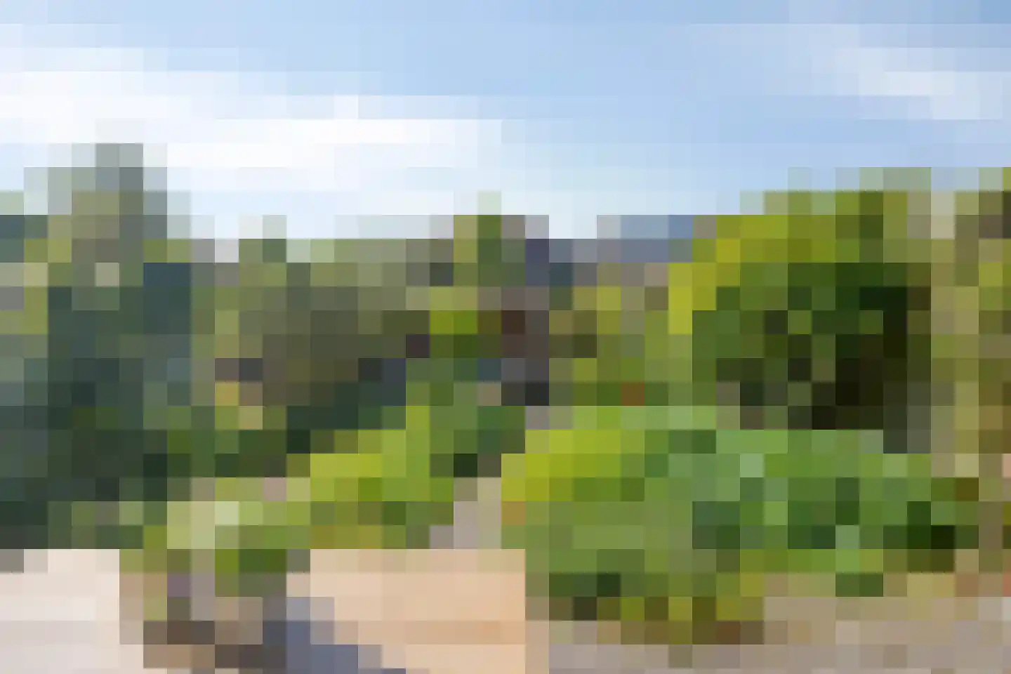 Groenenweer 44 Sliedrecht thumbnail 33