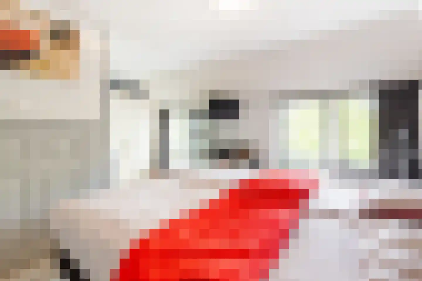 Groenenweer 5 Sliedrecht thumbnail 14
