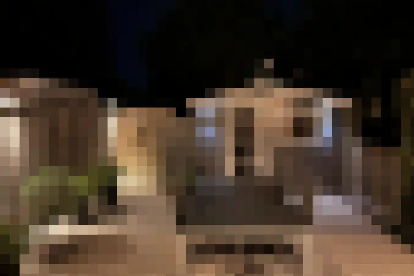 Groenenweer 5 Sliedrecht thumbnail 26