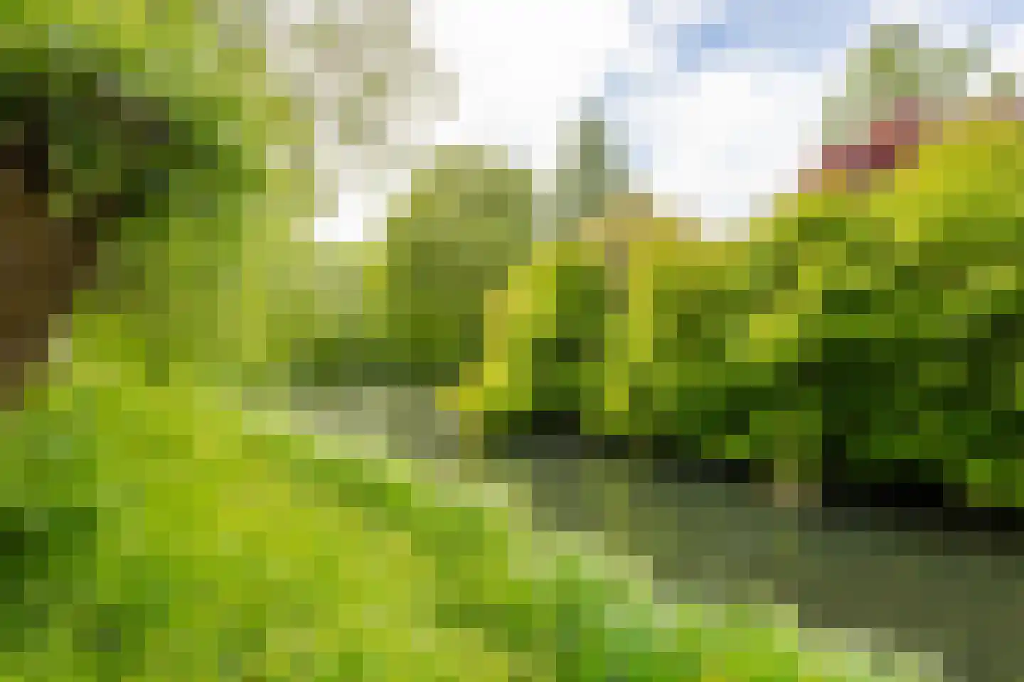 Groenenweer 5 Sliedrecht thumbnail 27